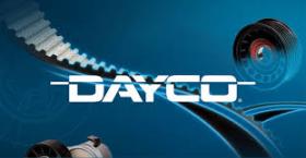 CORREA ESTRIADA  DAYCO